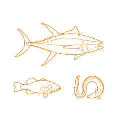 Animals Bony Fish Line Art Svg Vector, Free Vectors File
